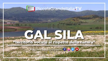 Gal Sila 2015 - Piccola Grande Italia