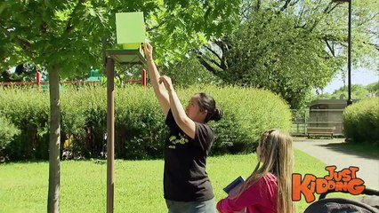 Fake Bird in Birdhouse