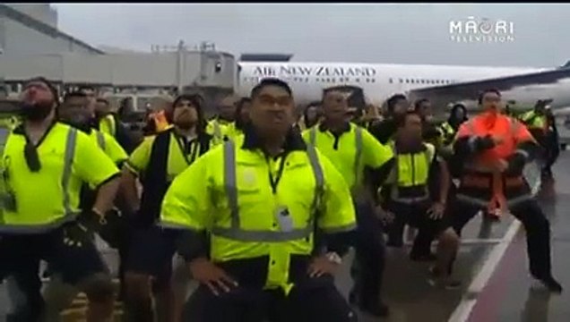 Haka du personnel de l'aéroport d'Auckland pour le retour des All Blacks en Nouvelle-Zélande