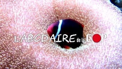 L'ABCDAIRE DE LA COP - LA COUILLONNADE CARBONNE