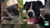 Florida cop shoots and kills pet dog on family's doorstep