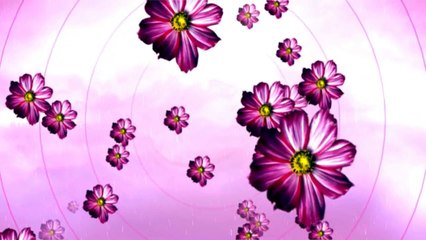 HD Motion Backgrounds Free Download