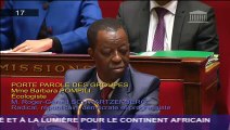 Débat sur l'électrification de l'Afrique - 3 novembre 2015