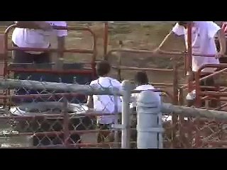 Knox County IN. Fair Hog Mud Wrestling THE PORK BELLIES