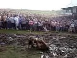 Mud Wrestling At Rockstars Mayhem Fest