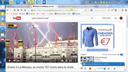 LES MESSAGES DIVINS ET LA GRUE