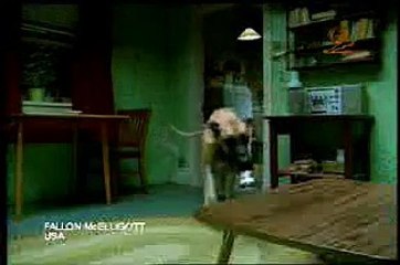 Pub marrante avec un chien pour la Miller Lite