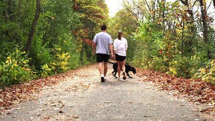 Lose the Thanksgiving guilt with these exercise moves