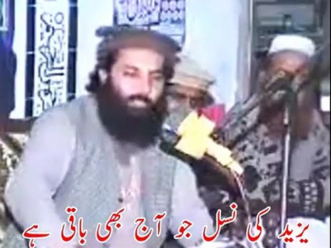 یزید کو امیر المومنین کہنے والے یزیدی مولوی کو منہ توڑ جواب