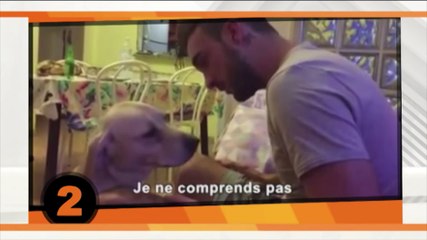 L'actualité Fresh | Semaine du 2 au 8 novembre 2015 | NICKELODEON