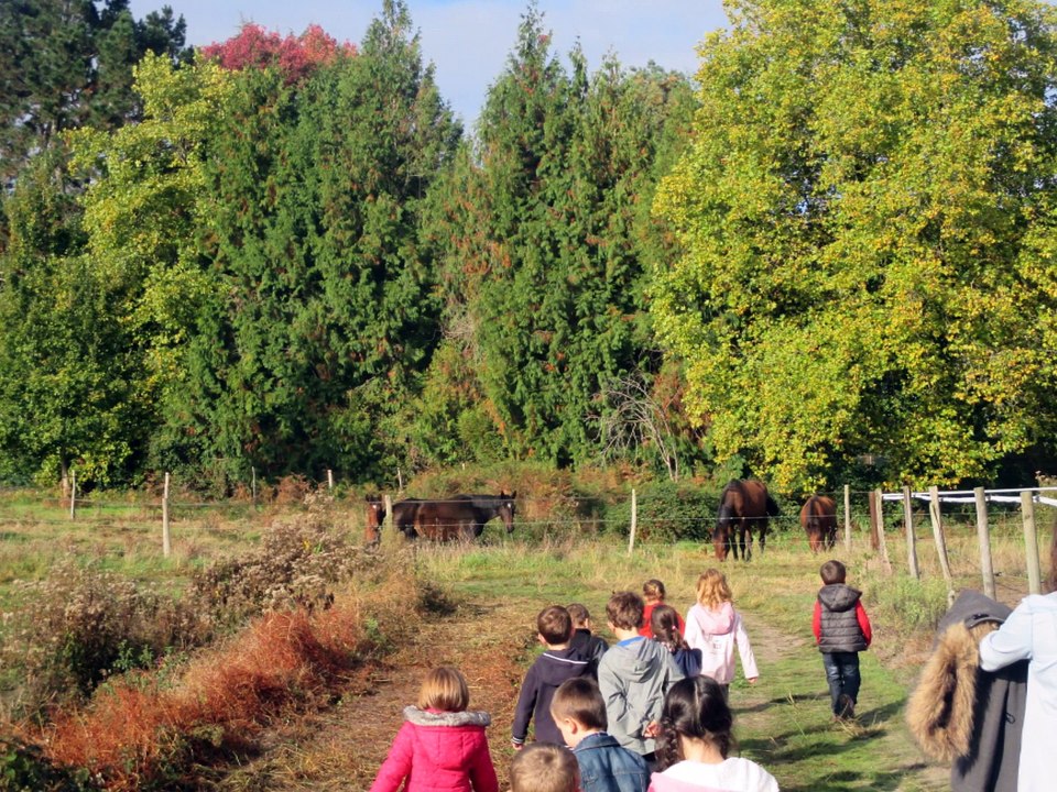 vac oct 15 petits
