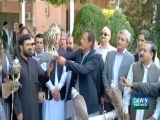 Watch what happened when Imran Khan releases birds - Very funny