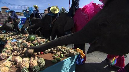 CCTVHD.Nourished.By.The.Same.River.EP02.HDTV.720P.x264