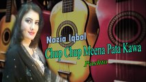 Nazia Iqbal - Chup Chup Meena Pata Kawa