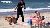 Dog Peeing On SEXY Girls Prank! (GONE WRONG)