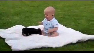 Dogs Meeting Babies for First Time Compilation 2014 Dogs Meeting Babies