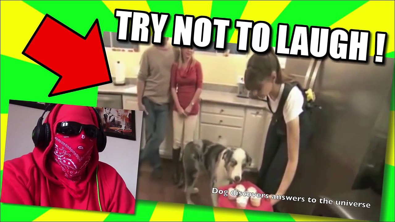 TRY NOT TO LAUGH CHALLENGE VIDEO 10