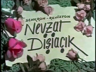 Dünyamı Yıkmasaydın Türk Filmi