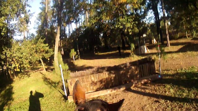 15-10-31 - Am2 Cross embarquée