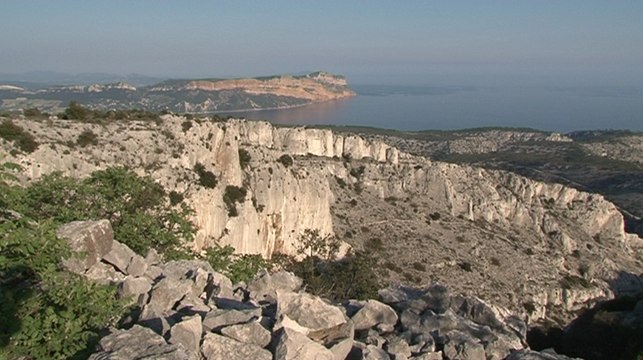 Climat et biodiversité même combat !