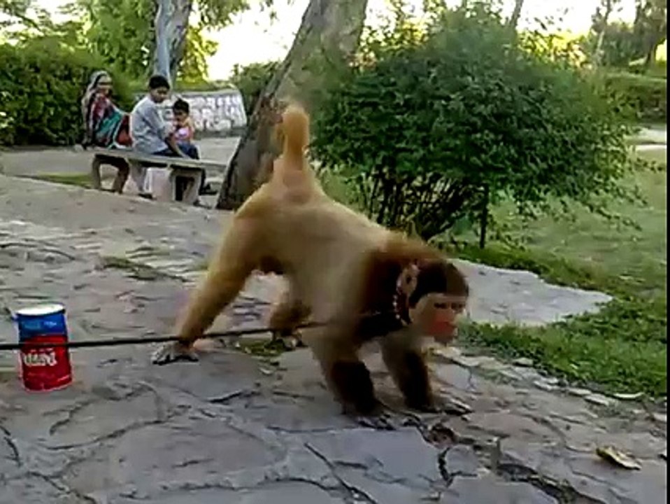 kis kis ko yaad hai