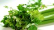 Health benefits of celery - Health Tips - quick health