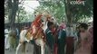 best horse dance in wedding very funny must watch