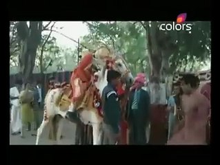 best horse dance in wedding very funny must watch