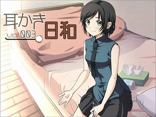 【耳かきボイス】耳かき日和vol 003B 蘭編【イヤホン必須】(1)