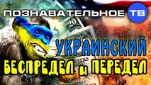 Украинский беспредел и передел (Познавательное ТВ, Валентин Катасонов)