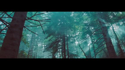 Pub Forevermark : " It s a Long Journey to Become The One " [HD]