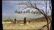 Hazrat Owais Qarni (A.R.) - Part 03 (Islamic Movie in Urdu) (new) HD [full