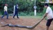 World's Biggest Snake Anaconda Found in South America's Amazon River