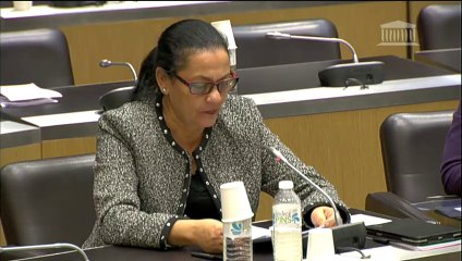 Question aux syndicats d'Air France - 4 novembre 2015