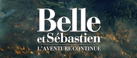 Belle et Sébastien - L'aventure continue