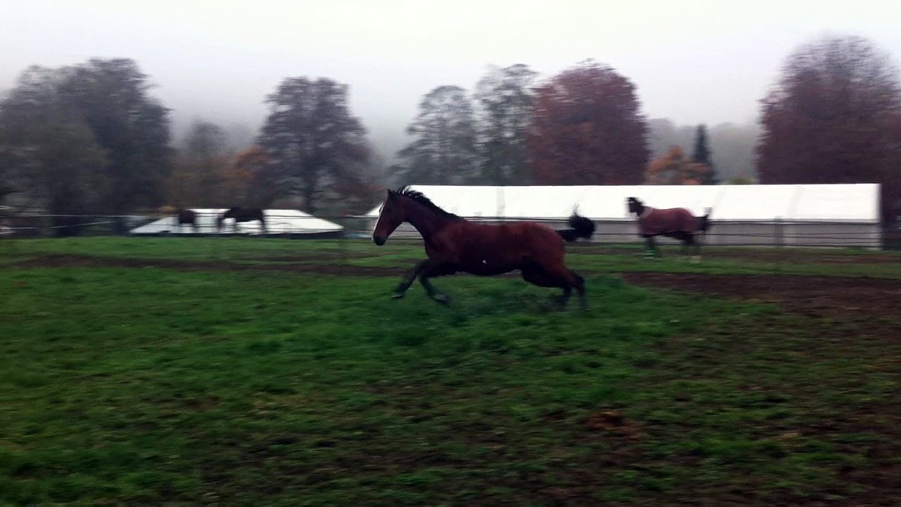 15-11-02 - Liberté 4