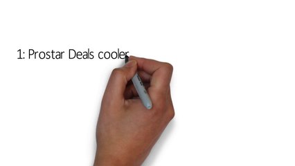 Large insulated cooler bag