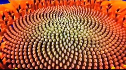 Трейлер прикосновение