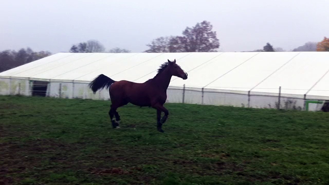 15-11-02 - Liberté 12