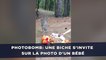 Photobomb: Une biche s'invite  sur la photo d'un bébé à l'orée d'un bois