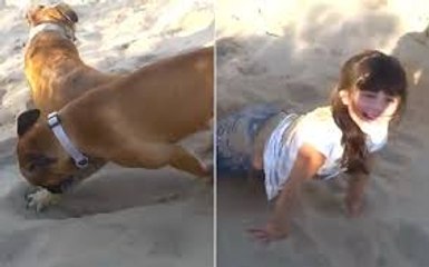 Dog gets revenge on kicking girl by burying her in sand - Dont Bother take panga with dog LOL