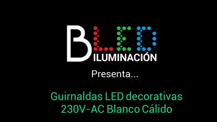 Guirnaldas LED decorativas blanco cálido