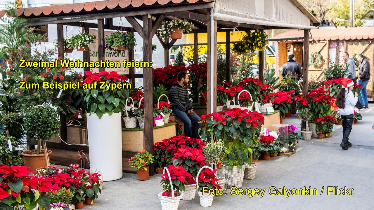 Reise TV - 4. November