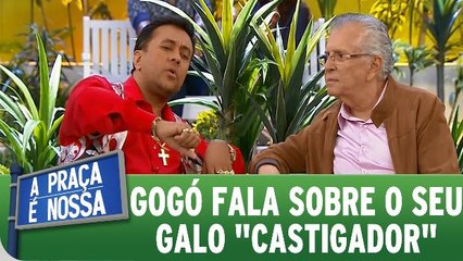 Paulinho Gogó fala sobre o seu galo castigador