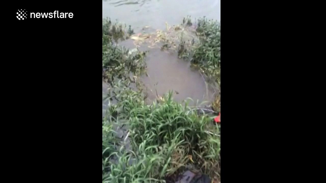 Man gets outwitted by a fish