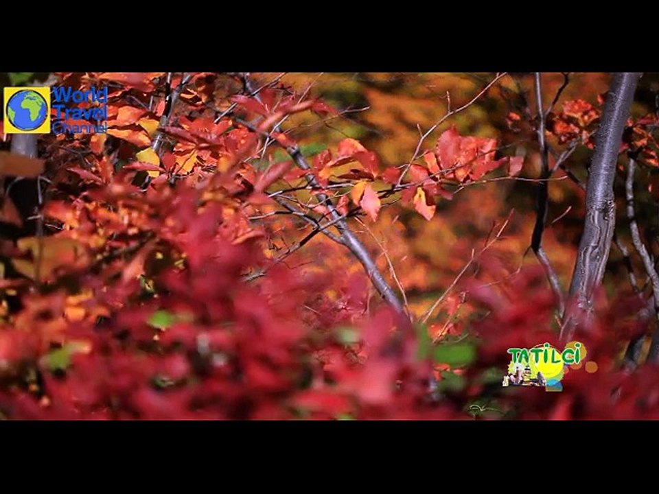 Tatilci   World Travel Channel  Kavrun yaylasında