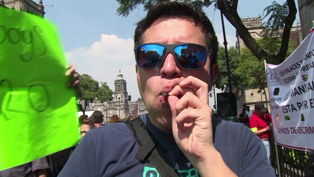 México autoriza uso recreativo de marihuana a 4 activistas