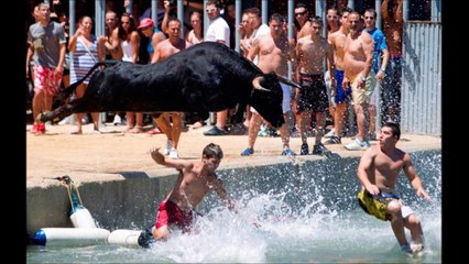 Funny Perfect Timing Pictures (Unlucky Photo) DDOF