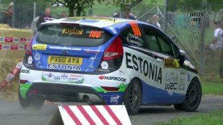 WRC ADAC Rallye Deutschland 2013