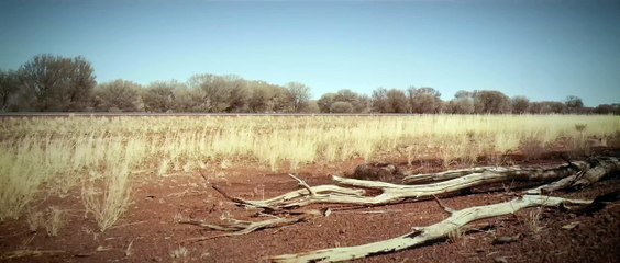 La Bentley Continental GT Speed prend 331 km/h sur la Stuart Highway